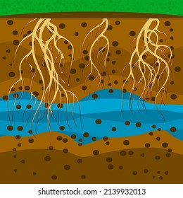 Roots in ground.Plant roots under soil.Soil layers.Underground with dirt layers,water and root.Cross section ground slice.Soil layer scheme with roots and earth texture.Soil layers.Vector illustration