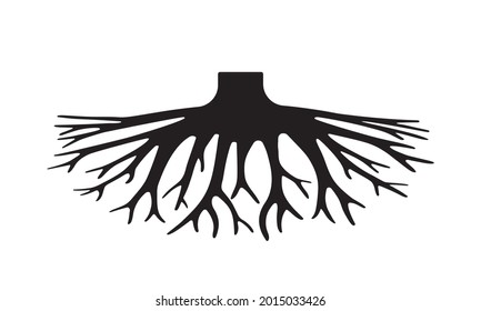 Roots icon or logo. Root of the tree. Vector illustration.