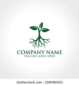 diseños de plantillas de logotipo de hoja de raíz