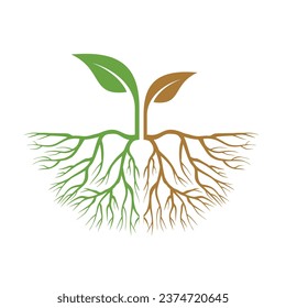 roots and leaf simple flat design.