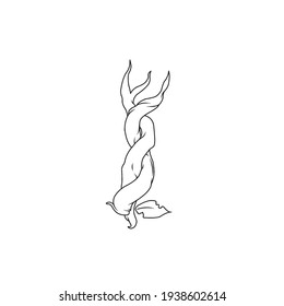 Roots and Leave vector graphic design illustration.