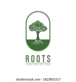 Roots logo design. Green tree with root and emblem line. Flat vector logo design. Usable for garden, education and farm logo.