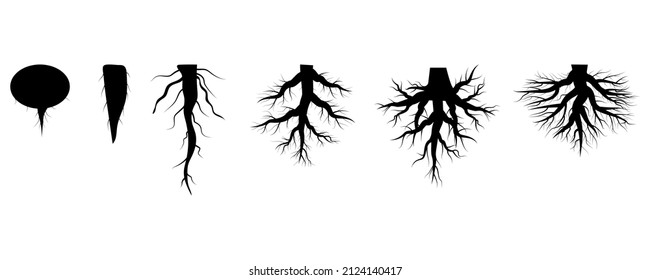 Roots set. Design spring tree illustration. Floral branch. Nature background. Vector illustration. stock image.