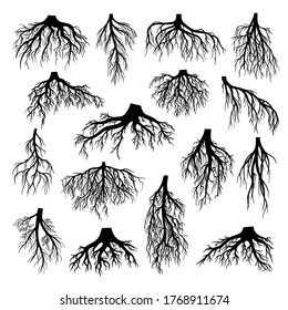 Roots of tree, bushes, shrubs black silhouettes set. Rootstock, rhizoma, creeping underground stem, rootstalk. Botany, dendrology vector illustration collection isolated on white background.