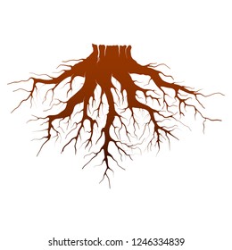 roots vector illustration