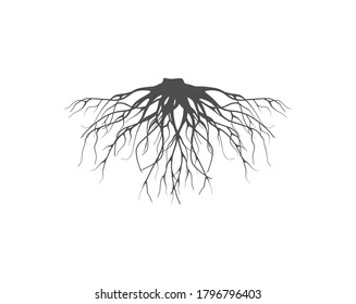 Roots vector illustration, strong root of oak tree.