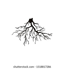 Roots.Vector illustration icon isolated on white background.