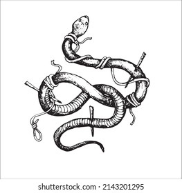 Rope coiled snake design, vector, very suitable for shirt designs or other merchandise.