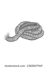 Rope, cord, rope, thread, skein, grunge, nautical, dotwork style sketch, black and white isolated vector illustration, tattoo sticker, print