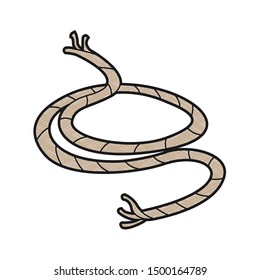 rope design vector with texture colors