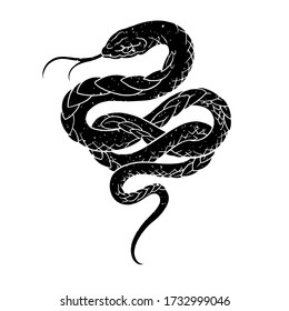 557 261件の ヘビ の画像 写真素材 ベクター画像 Shutterstock