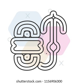 Rope icon vector can be used as png, Rope