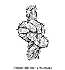 Rope knot isolated on white background. Hand drawn rope knot sketch. Marine cord knot. Marine theme line icon. Jute or hemp twisted cord. Symbol for trust,faith, metaphor for strength or stress.Vector