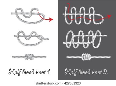 Rope knots. How to tie half blood knots instruction. Vector illustration.