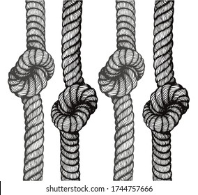 The rope knots on white background.