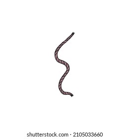 rope lasso vector doodle sketch isolated illustration.