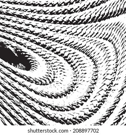 Rope texture for your design. EPS10 vector.