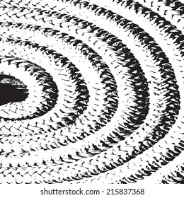 Rope texture for your design. EPS10 vector.