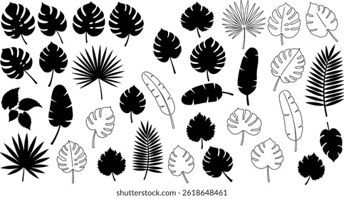 ropical leaves, palm leaves silhouettes, diverse collection, black shapes, design elements, artistic