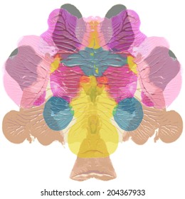 Rorschach test, handmade, acrylic on paper blots, abstract symmetric shapes in painting. In color.  Isolated. Vector.