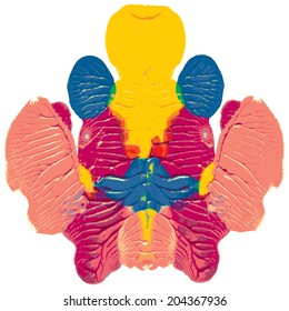 Rorschach test, handmade, acrylic on paper blots, abstract symmetric shapes in painting. In color.  Isolated. Vector.