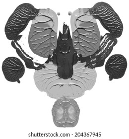 Rorschach test, handmade, acrylic on paper blots, abstract symmetric shapes in painting. Black and white. Isolated. Vector.