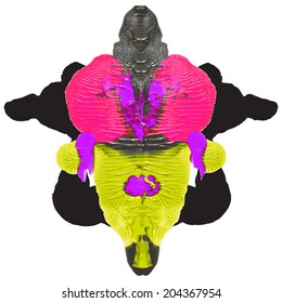 Rorschach test, handmade, acrylic on paper blots, abstract symmetric shapes in painting. In color.  Isolated. Vector.