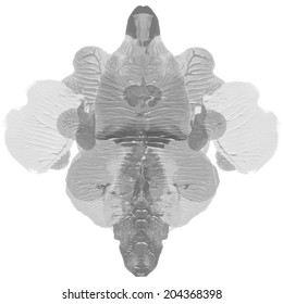 Rorschach test, handmade, acrylic on paper blots, abstract symmetric shapes in painting. Black and white. Isolated. Vector.