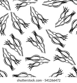 Rosa canina buds. Seamless pattern. Black and white