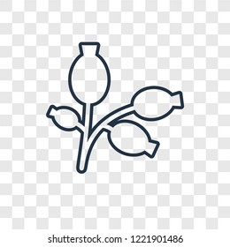 Rosa canina concept vector linear icon isolated on transparent background, Rosa canina concept transparency concept in outline style