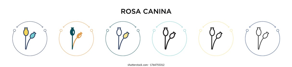 Rosa canina icon in filled, thin line, outline and stroke style. Vector illustration of two colored and black rosa canina vector icons designs can be used for mobile, ui, web