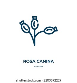 Rosa canina icon. Linear vector illustration from autumn collection. Outline rosa canina icon vector. Thin line symbol for use on web and mobile apps, logo, print media.