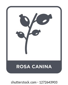 rosa canina icon vector on white background, rosa canina trendy filled icons from Autumn collection, rosa canina simple element illustration