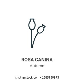 Rosa canina outline vector icon. Thin line black rosa canina icon, flat vector simple element illustration from editable autumn concept isolated on white background