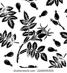 Rosa canina Seamless pattern. Rosehip fruit, leaves, branch. Hand drawn botanical illustration. Based on linocut