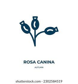 rosa canina vector icon. rosa canina, natural, nature filled icons from flat autumn concept. Isolated black glyph icon, vector illustration symbol element for web design and mobile apps
