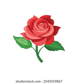 Rosa damascena isolated flat vector illustration on white background