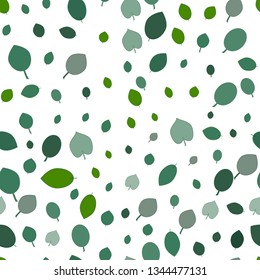 Rosa odorata. Vector. Flowers seamless pattern on isolated background.