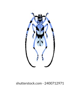 Rosalia Longicorn, alpine longhorn beetle. Blue bug with spotted camouflage. Small patterned insect. Arthropod animal. Forest fauna. Flat isolated hand drawn vector illustration on white background