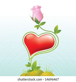 rose