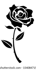 rose