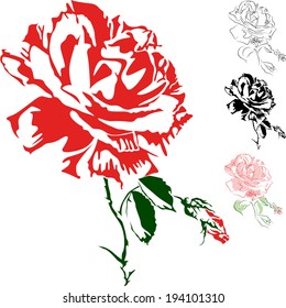 rose