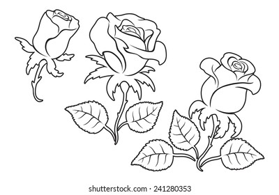 rose - Shutterstock ID 241280353