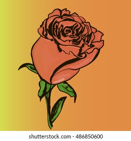 rose