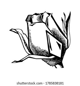 Rose, abstract floral design. Vector illustration. Can be used as a visiting card for flower shops, for florists, for organizations of greenery works, as a separate trade mark.