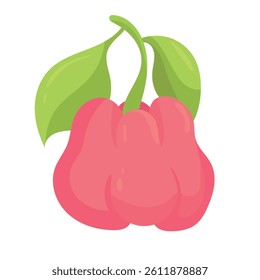 
Rose Apple. Flat vector, clipart illustration isolated on white background.
