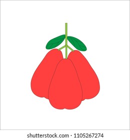 rose apple. fruit with a good taste.
