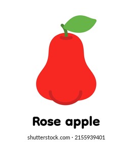 Rose apple fruit icon, Vector, Illustration.