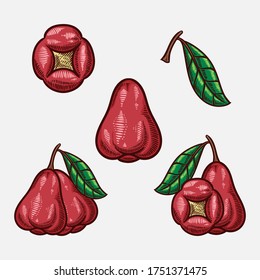 ilustración de boceto dibujado a mano con vectores de manzana de rosa