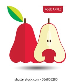 rose apple, fruit vector illustration